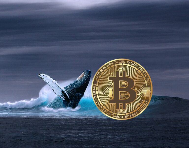 Bitcoin Whales Maintain Positive Accumulation Behavior Ahead Of 2024 Halving: Santiment